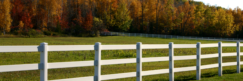 Ranch Rail Style Vinyl